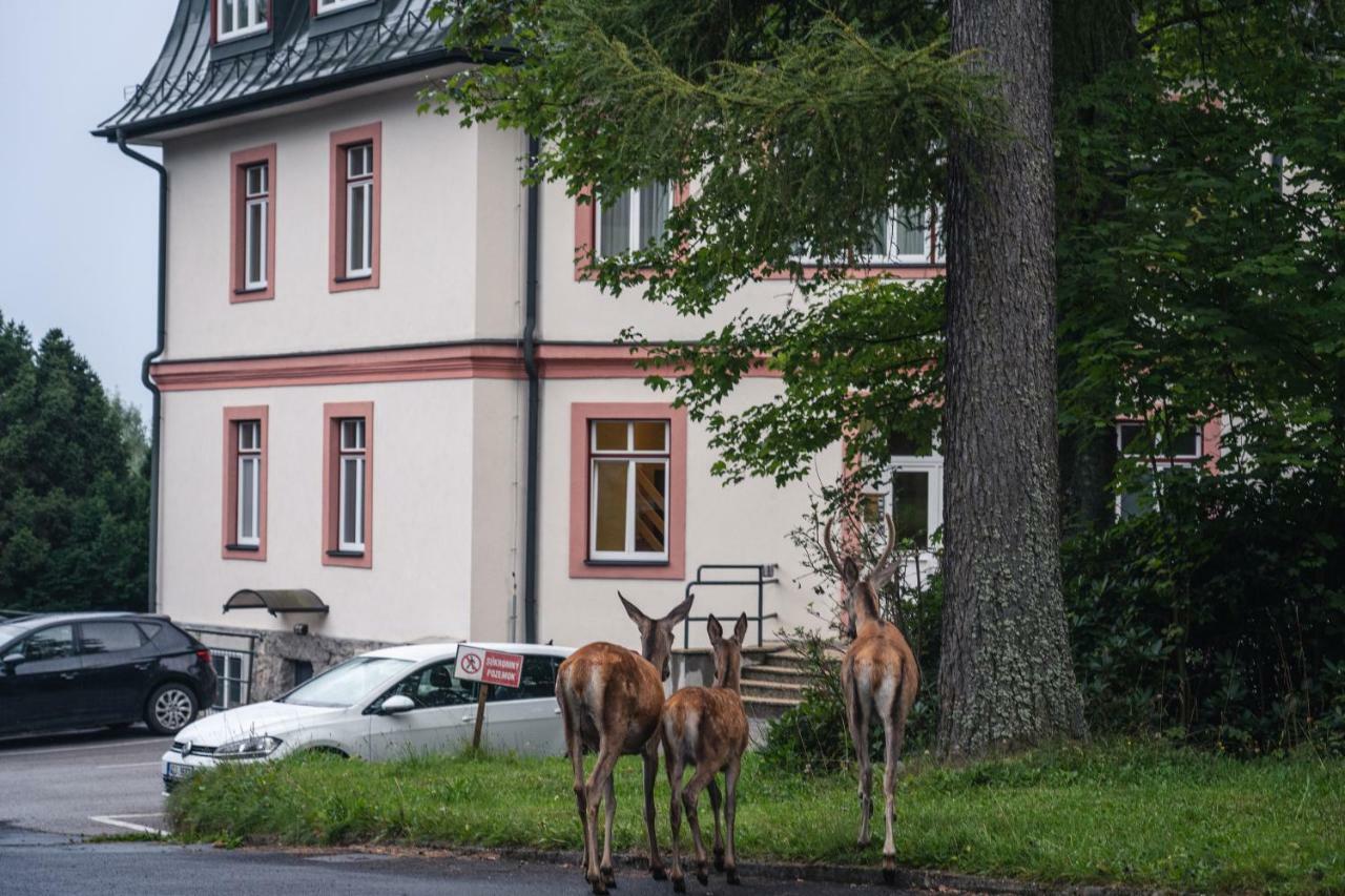 AC Apartmány Lomnica Tatranská Lomnica Exteriér fotografie